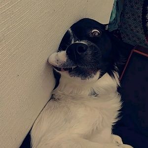 Meet your Posher, Farrah